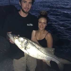 Meet your Posher, Sienna